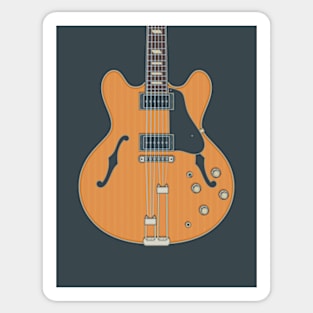 Riviera Hollow Body Guitar Sticker